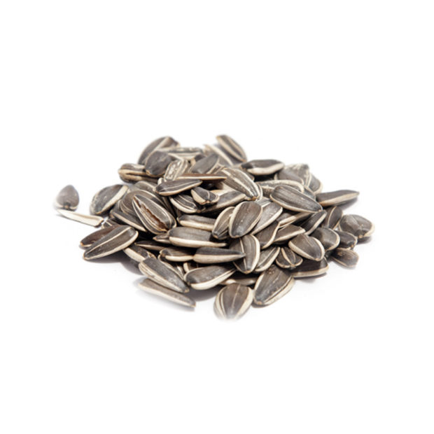 ηλιόσπορος